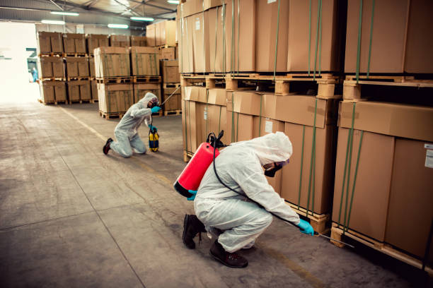 Best Affordable Pest Control Services  in Johnson City, TN