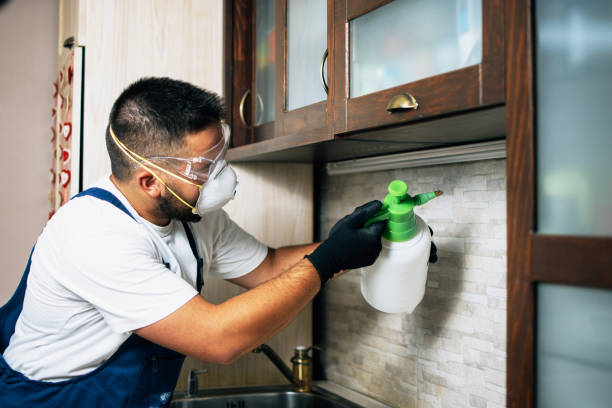 Best Best Pest Control Companies  in Johnson City, TN