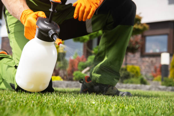 Best Best Pest Control Companies  in Johnson City, TN