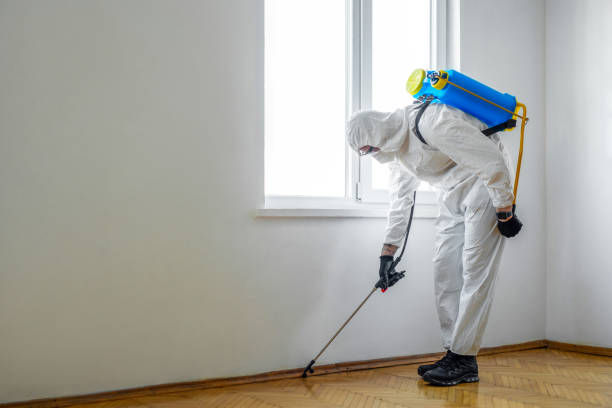 Best Emergency Pest Control  in Johnson City, TN