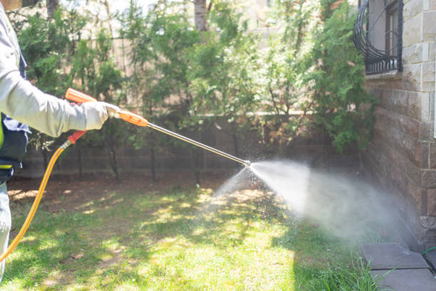 Best Local Pest Control Services  in Johnson City, TN