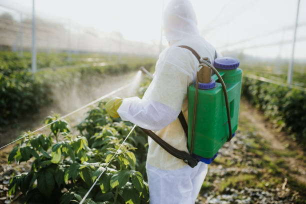 Professional Pest Control in Johnson City, TN